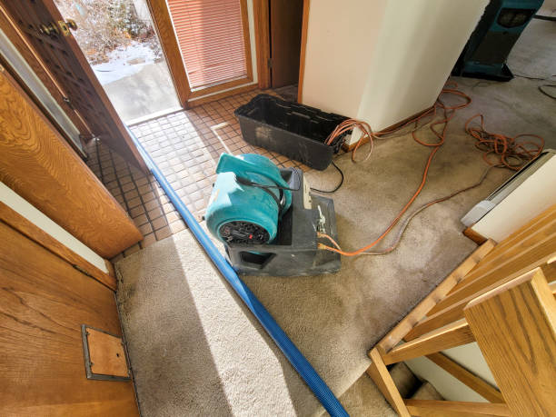 Best Ceiling water damage repair  in Little River, SC