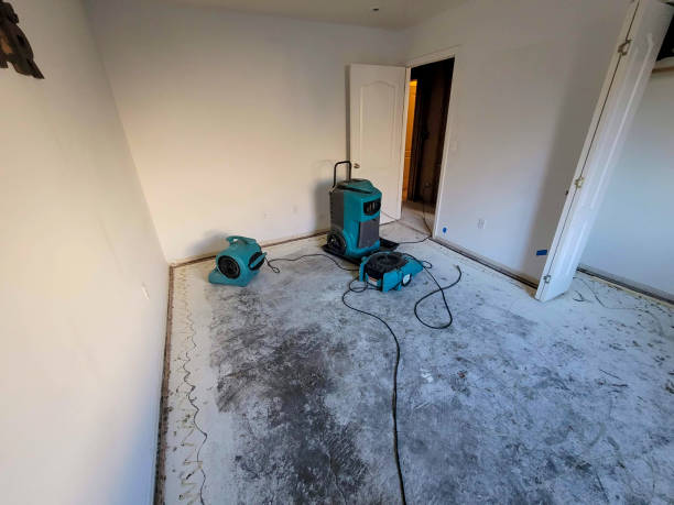 Best Local water damage restoration  in Little River, SC