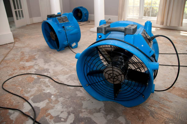 Best Residential water damage restoration  in Little River, SC