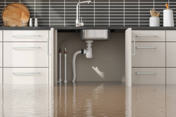 Best Water damage restoration mold remediation  in Little River, SC