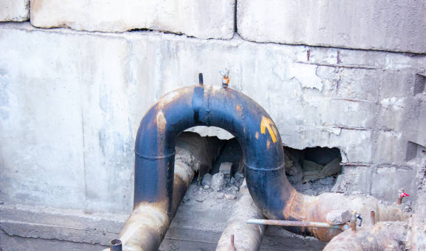 Best Water damage cleanup near me  in Little River, SC